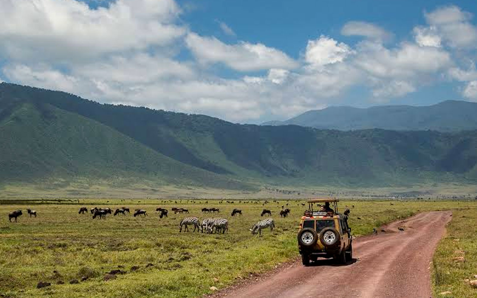 How much does a 7 days Tanzania safari tour cost in 2026 